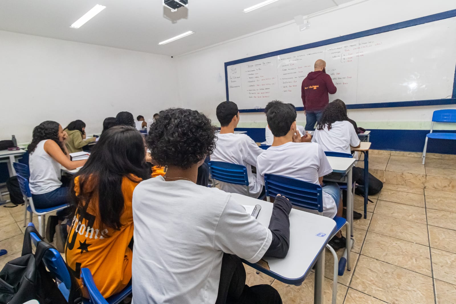 professores da rede estadual